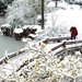 新乡市好玩的地方